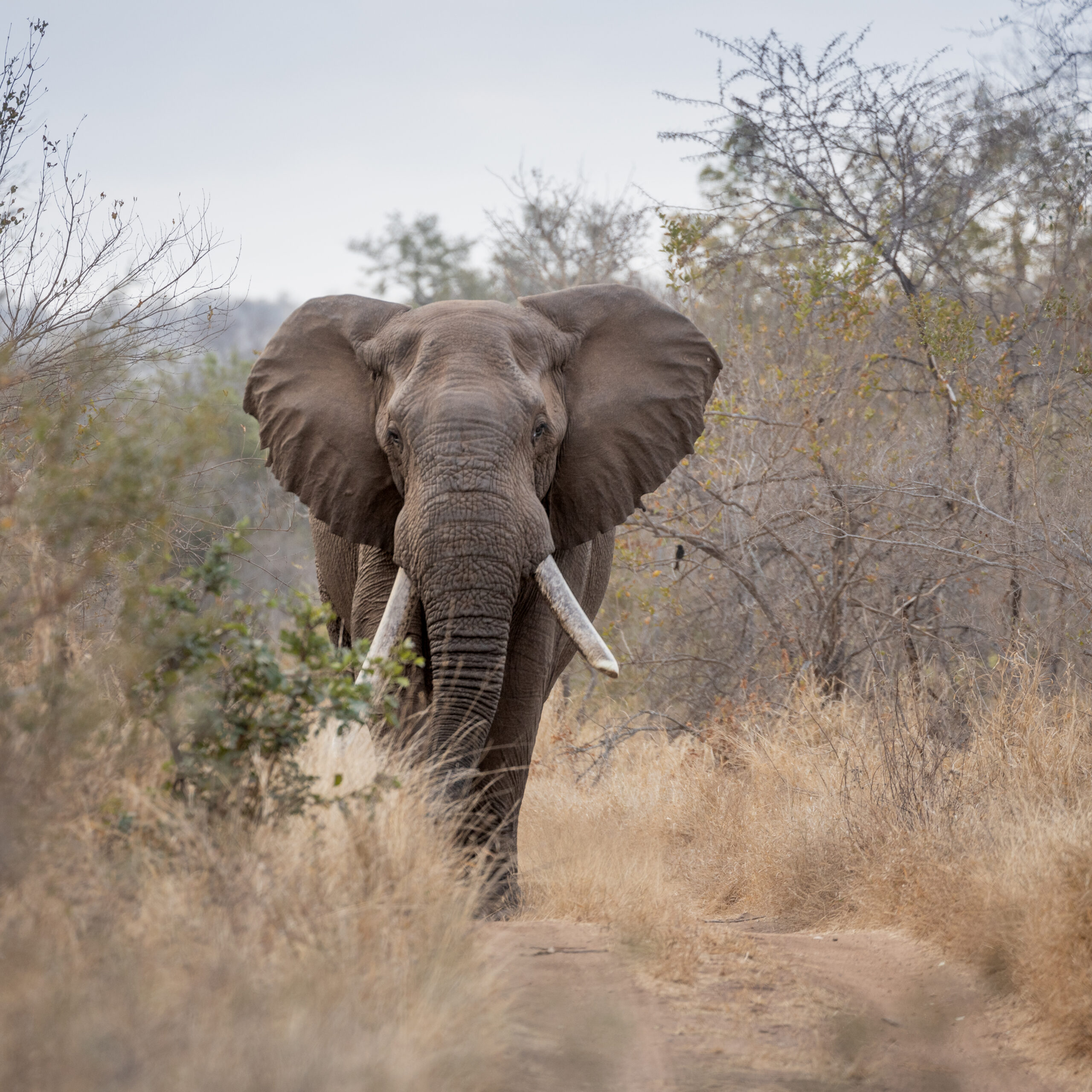 20210820_LorenaPeter_7