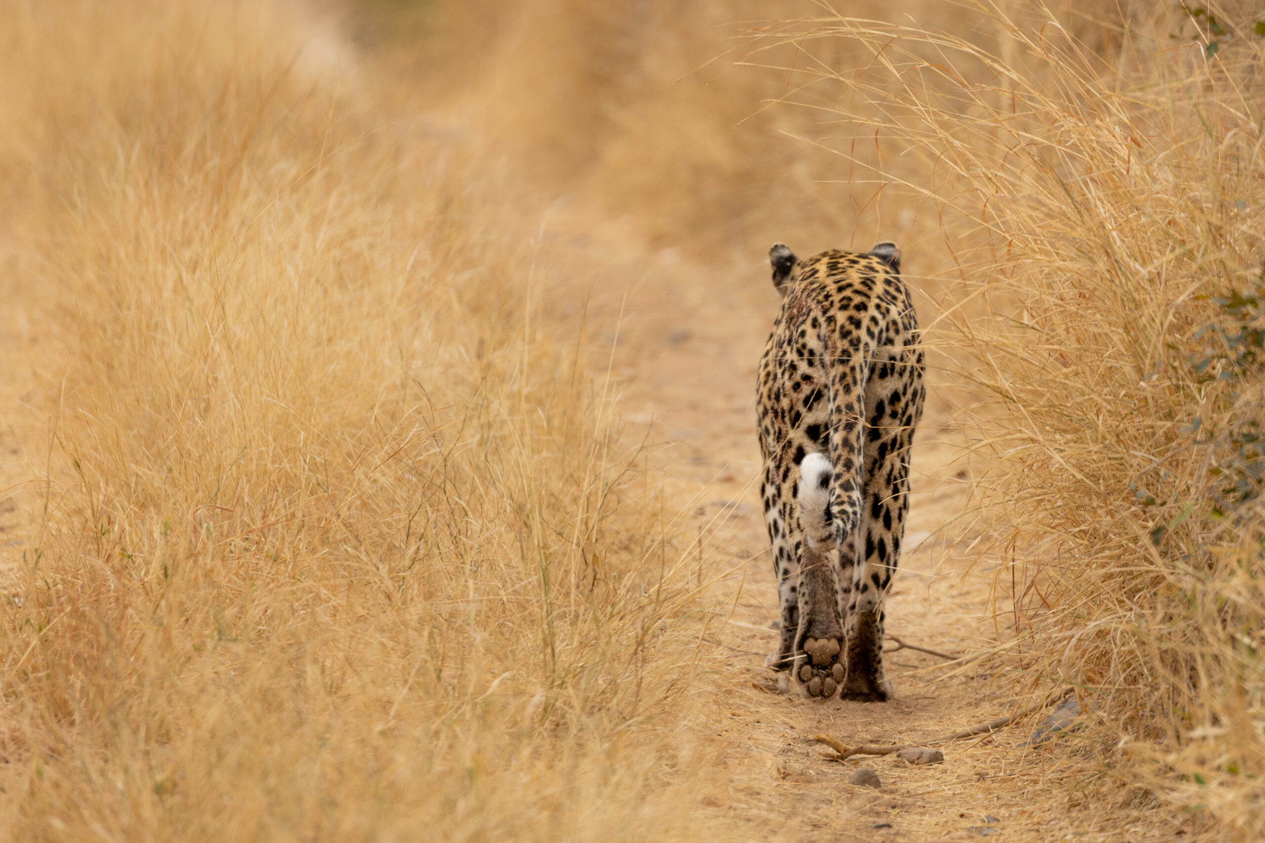 20210902_LorenaPeter_43