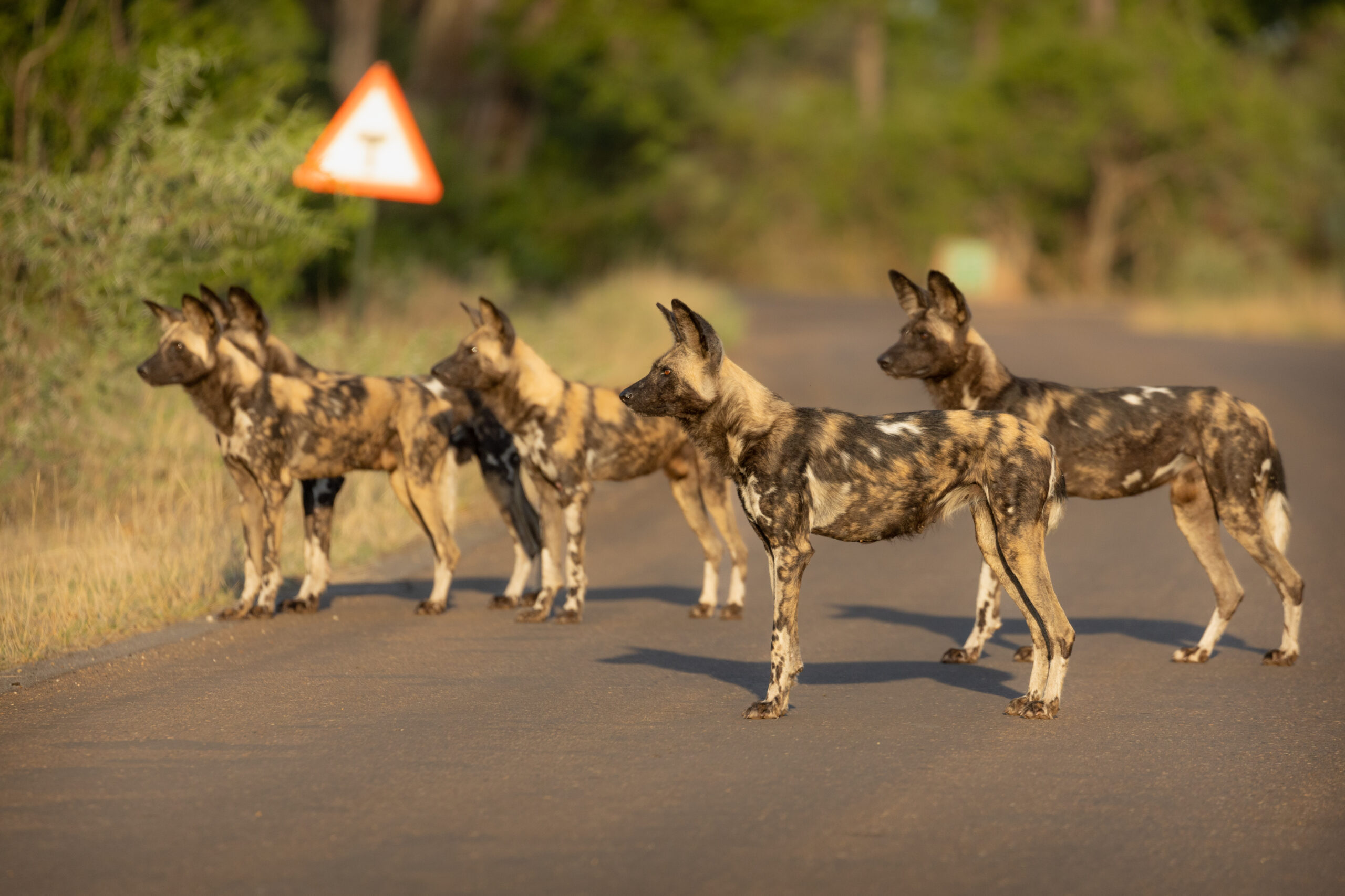 LorenaPeter-20211213-2