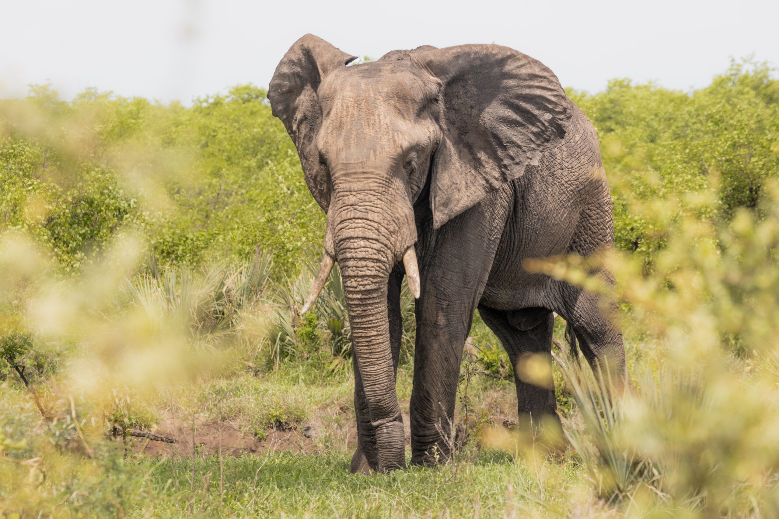 LorenaPeter-20211213-21