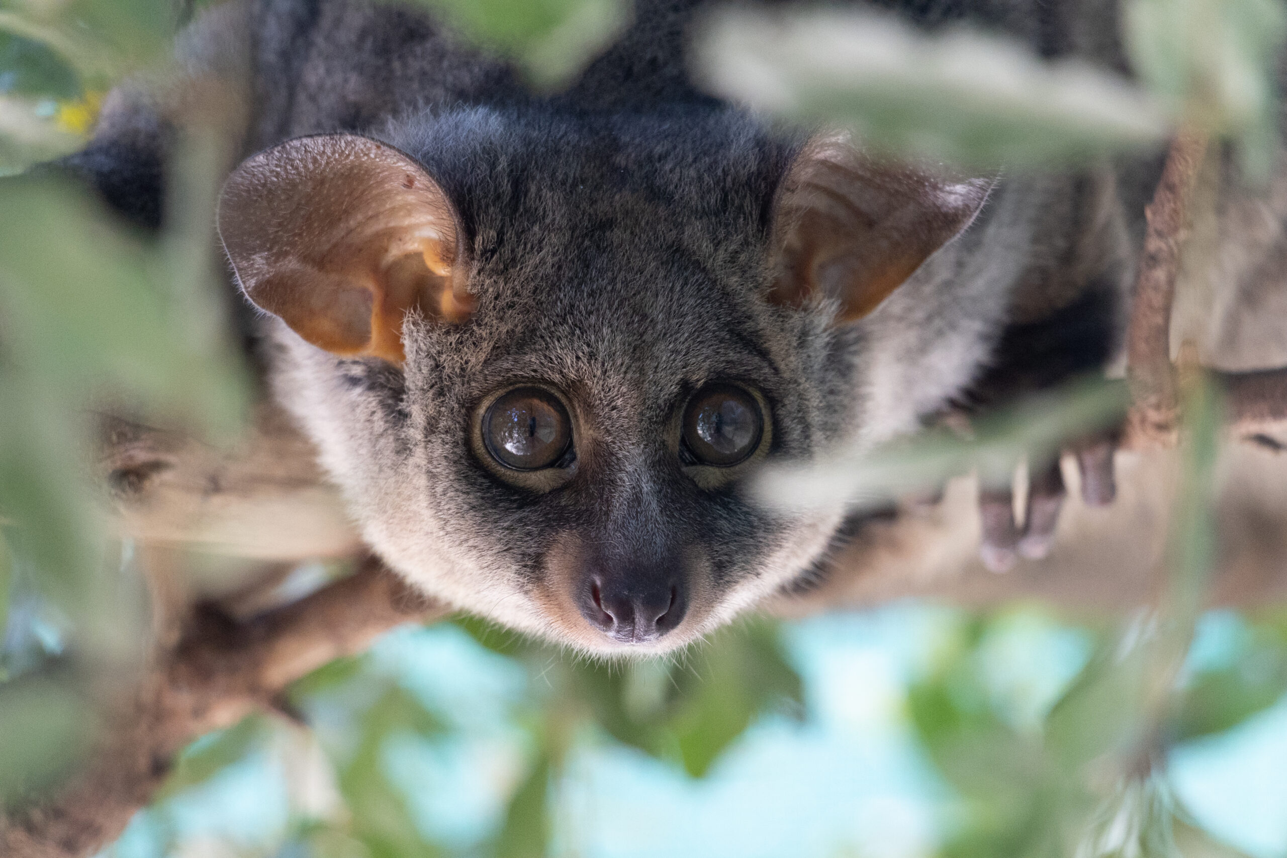 LorenaPeter20220330-4