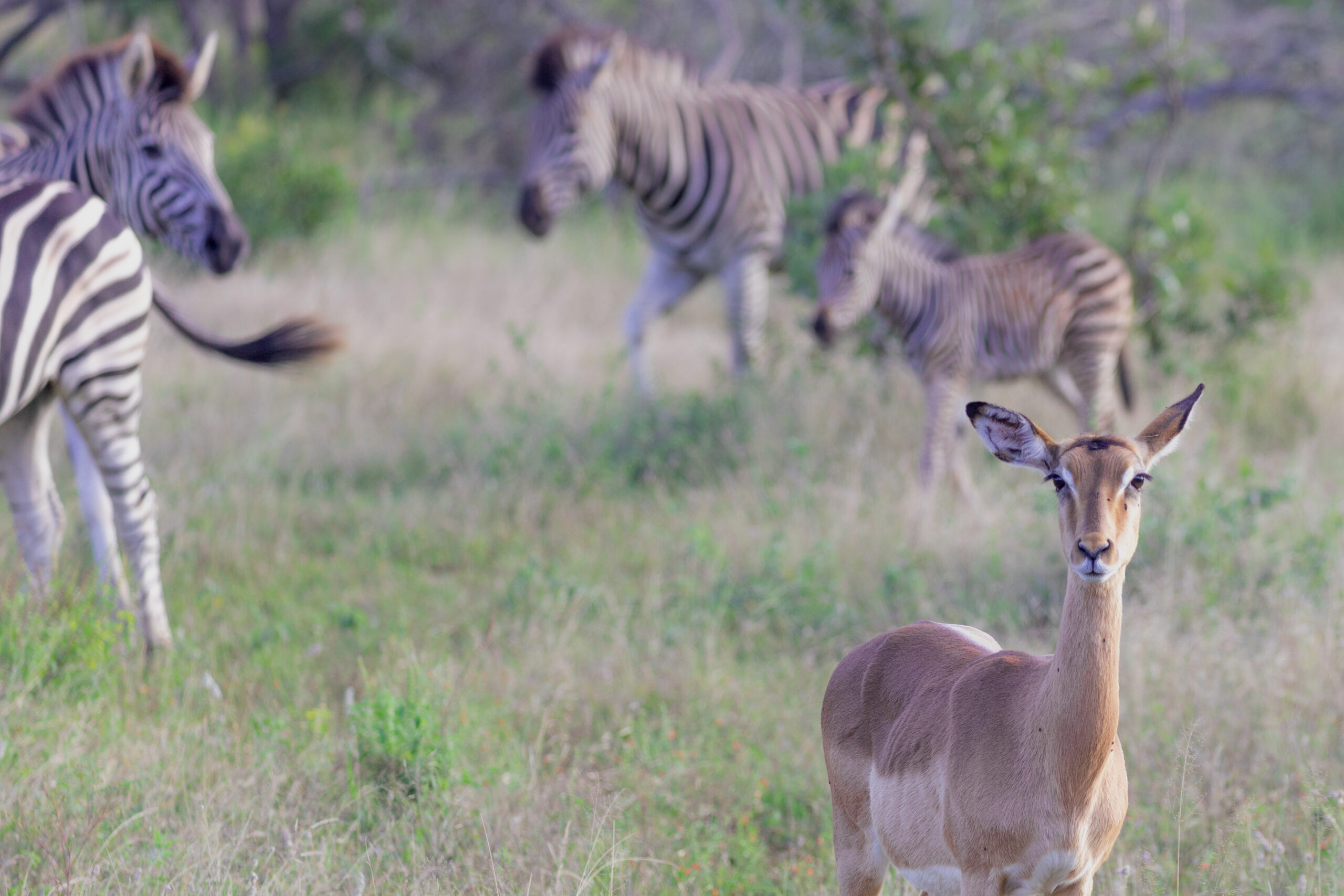 LorenaPeter20220427-21