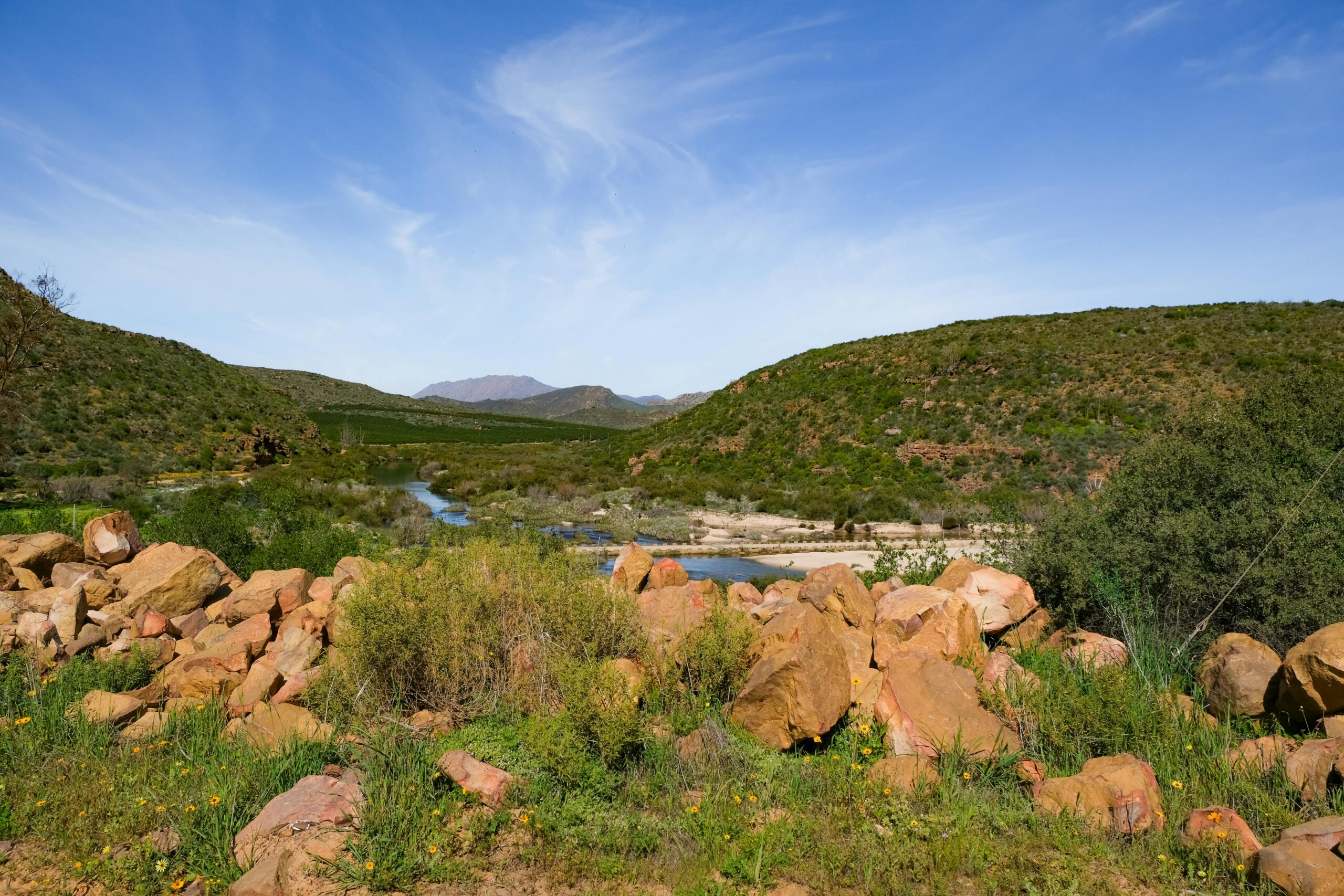 Clanwilliam (5)