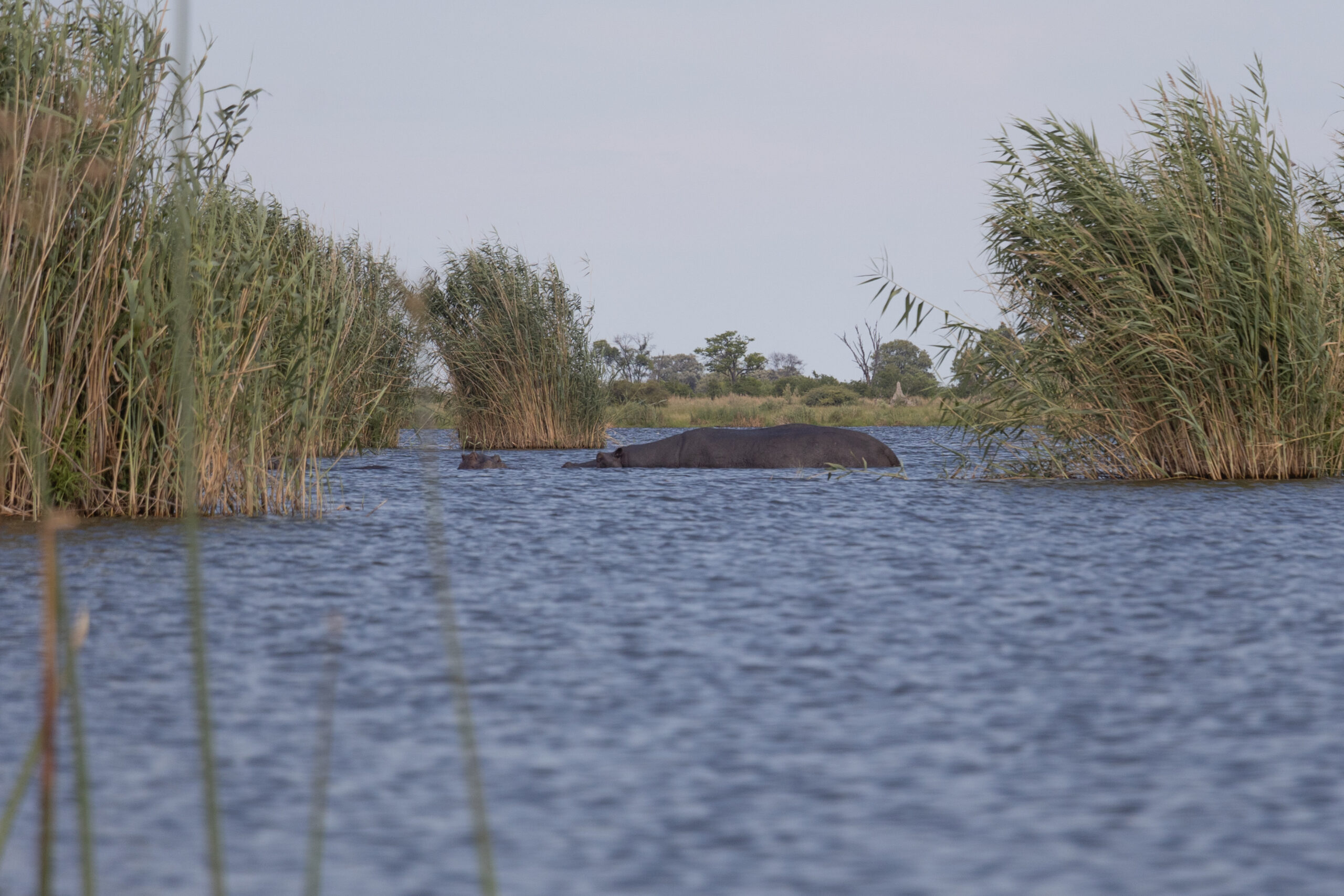 LorenaPeter-20221208-1U9A4781