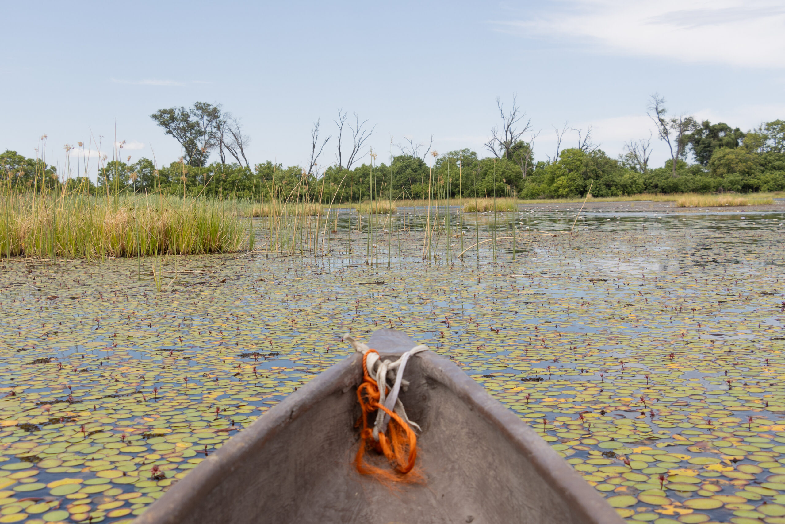 LorenaPeter-20221208-1U9A4843