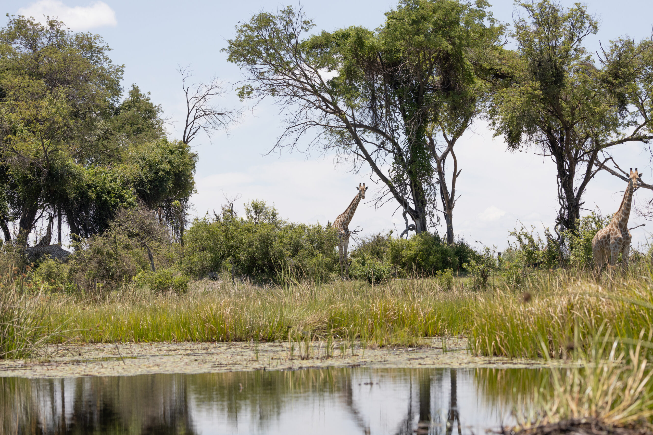 LorenaPeter-20221208-1U9A4892