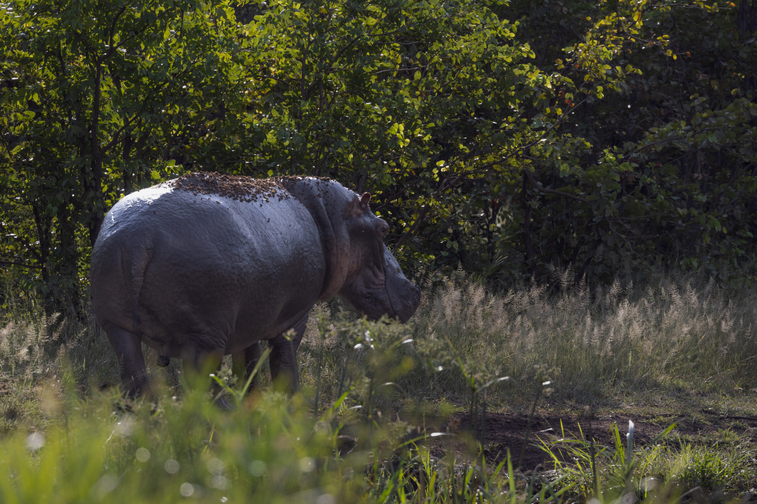 LorenaPeter-20230124-1U9A0193