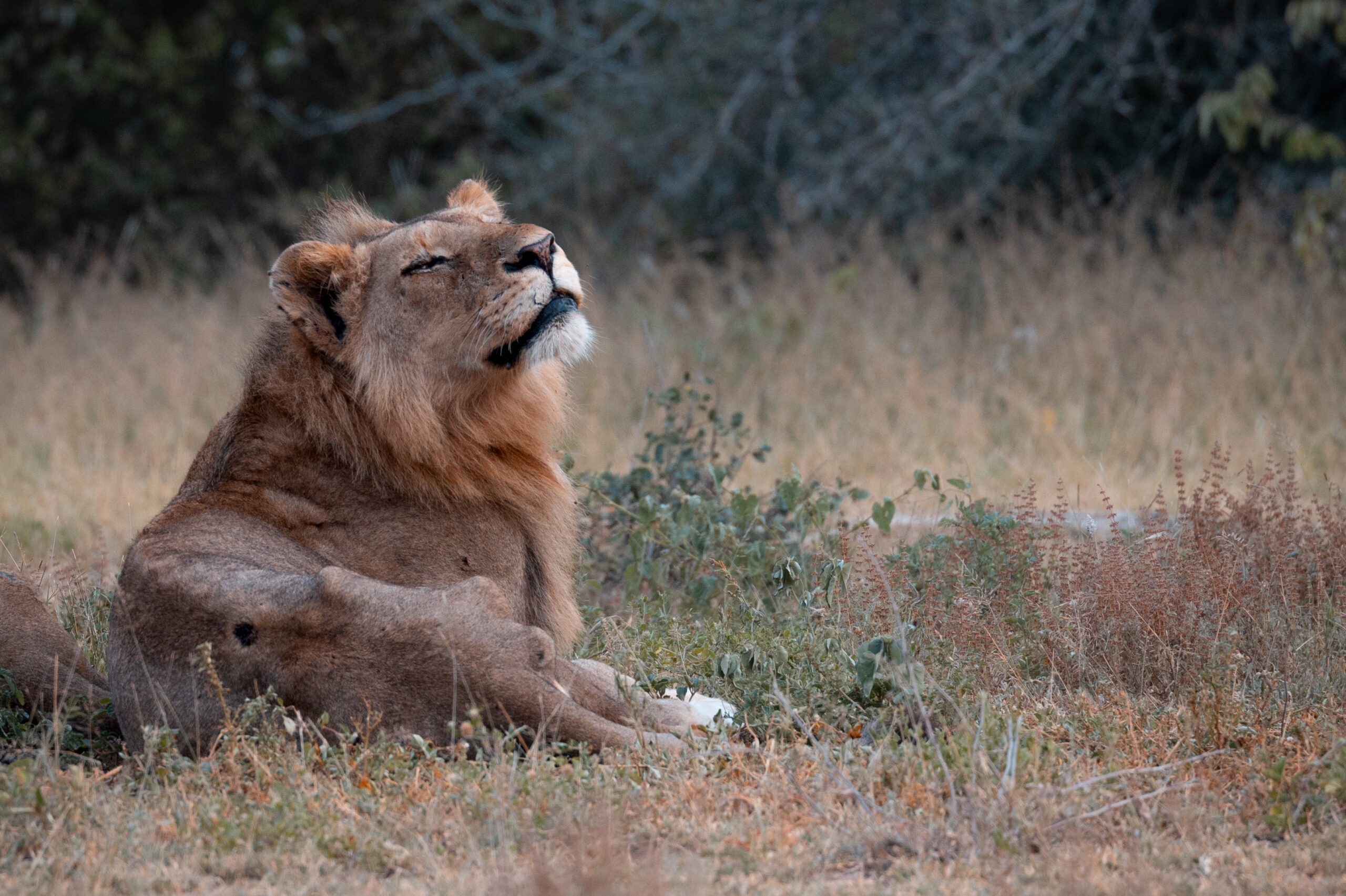 LorenaPeter-20230131-1U9A1479