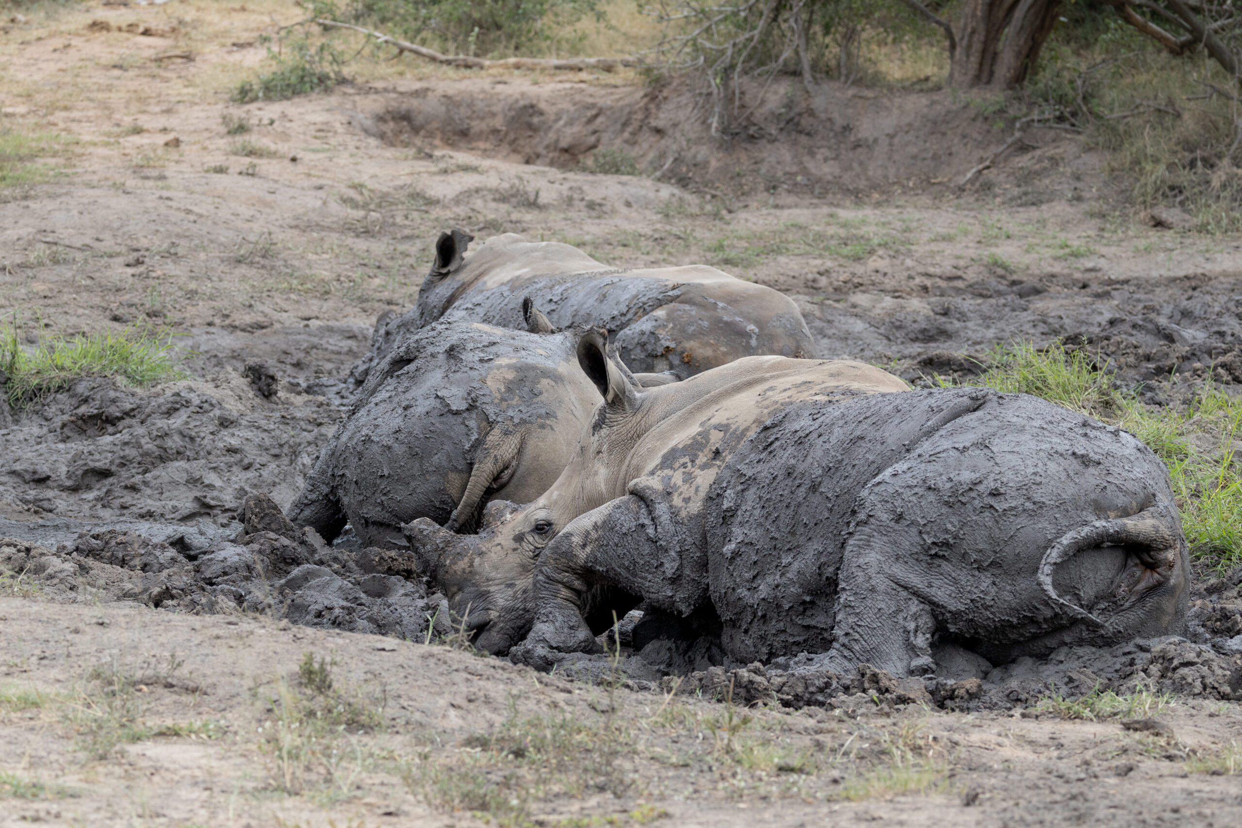 LorenaPeter-20230131-1U9A2024