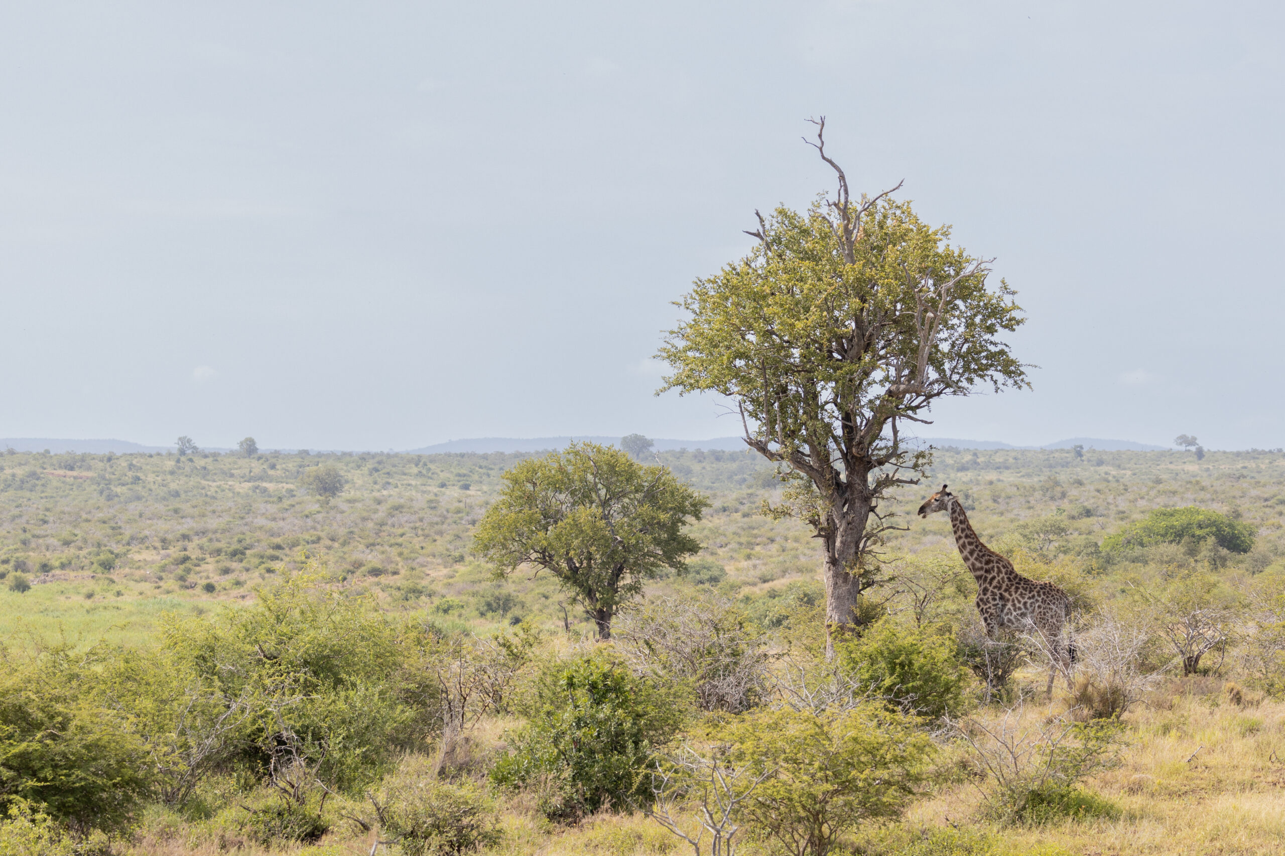 LorenaPeter-20230202-1U9A2513