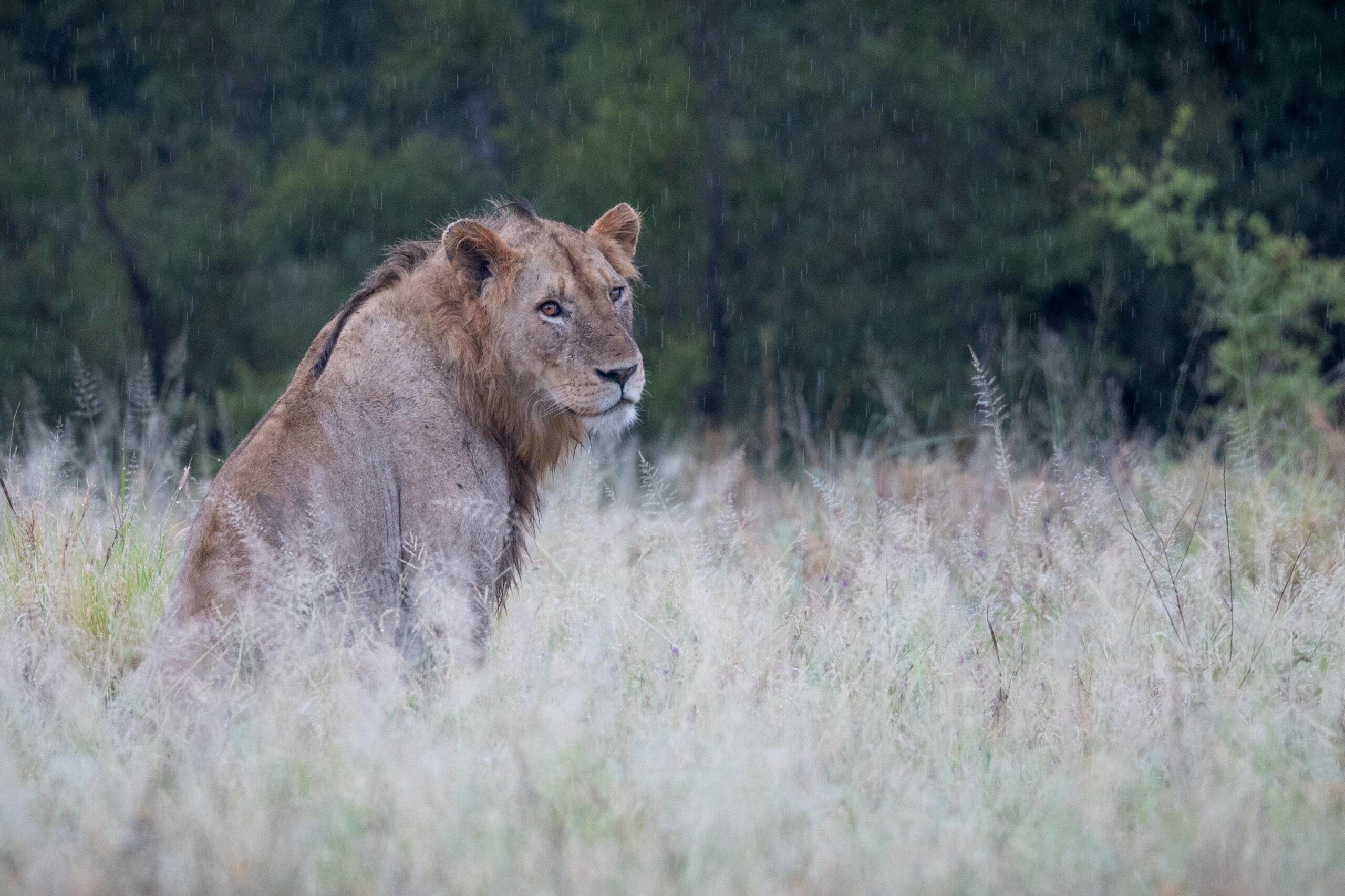 LorenaPeter-20230203-1U9A2866