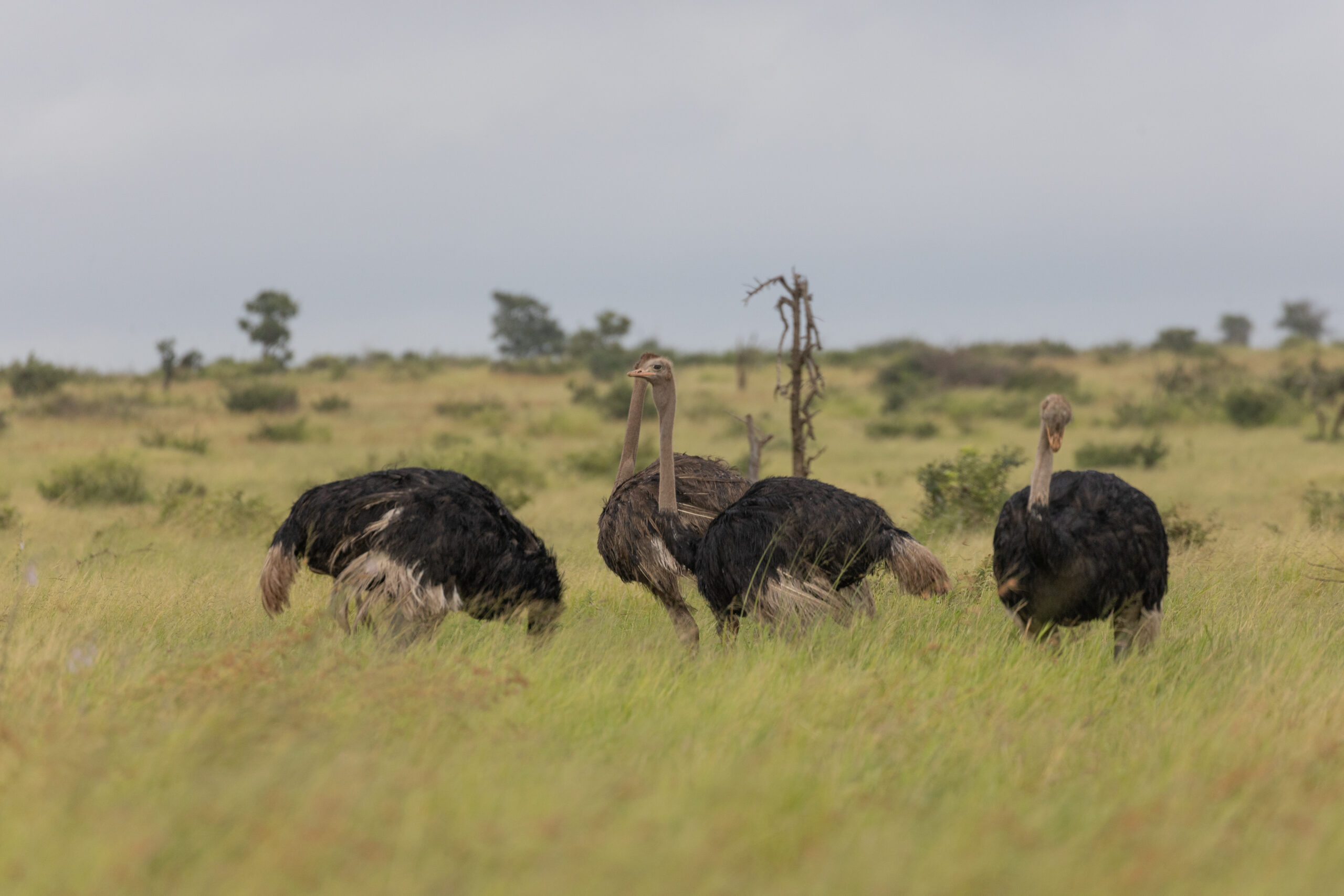 LorenaPeter20220205-20