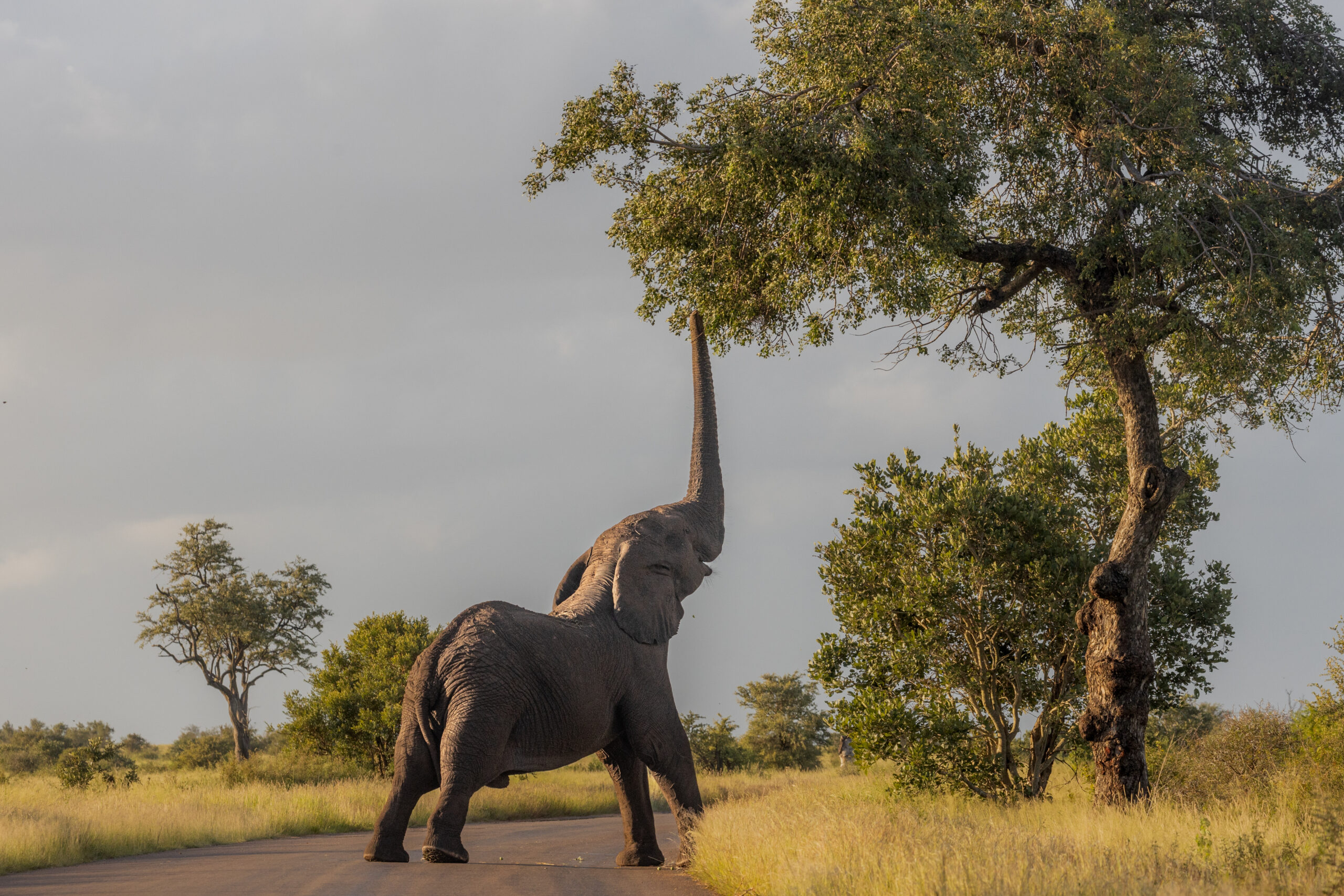 LorenaPeter20220205-32