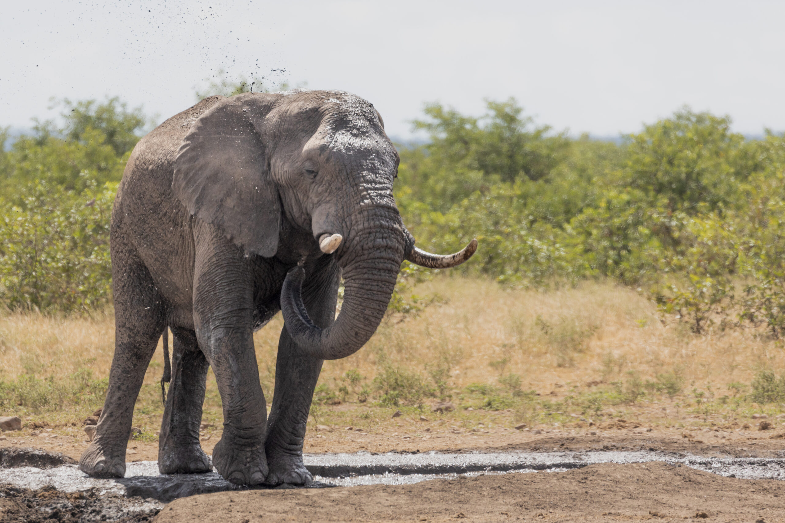 LorenaPeter20220305-15