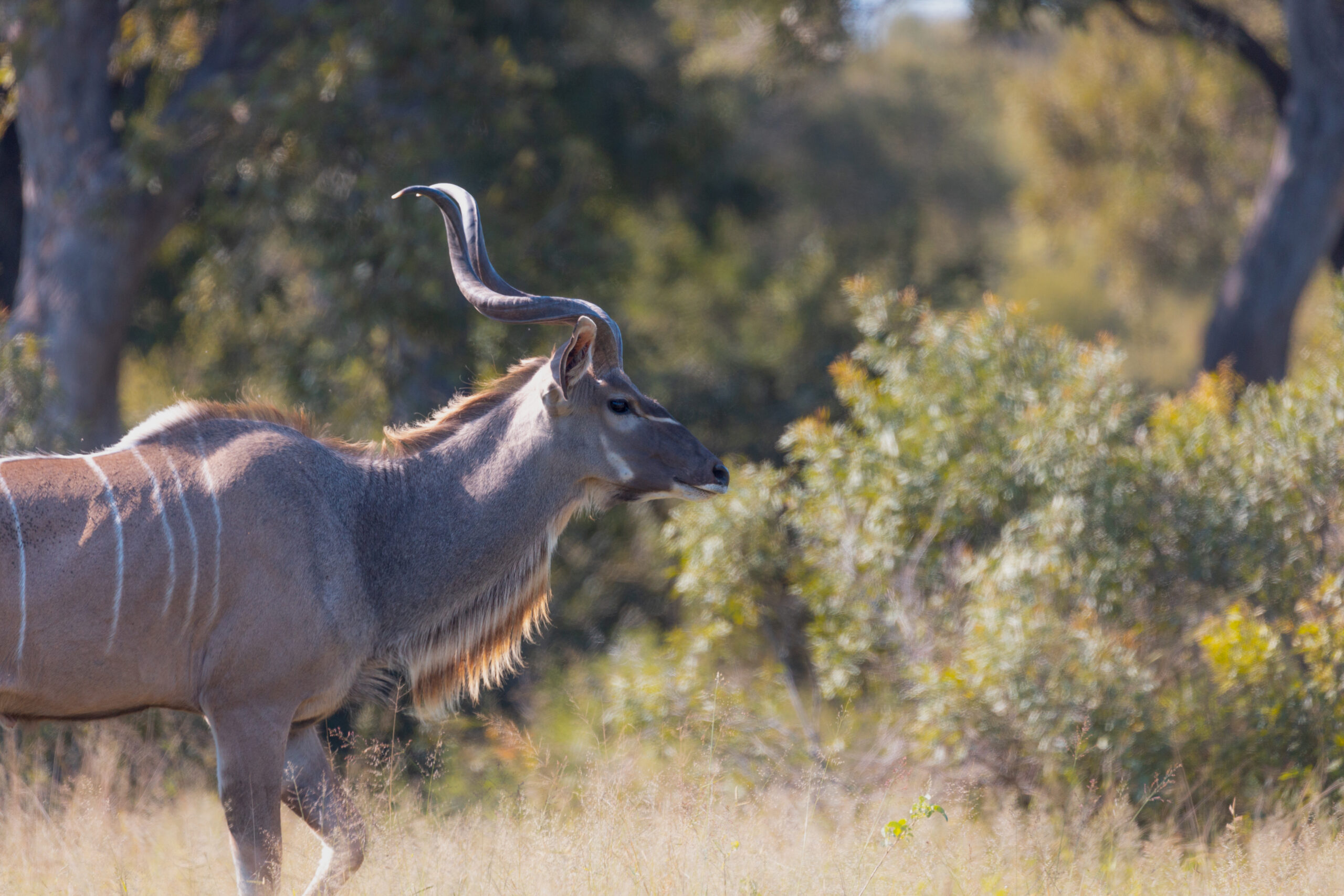 LorenaPeter20220428-44