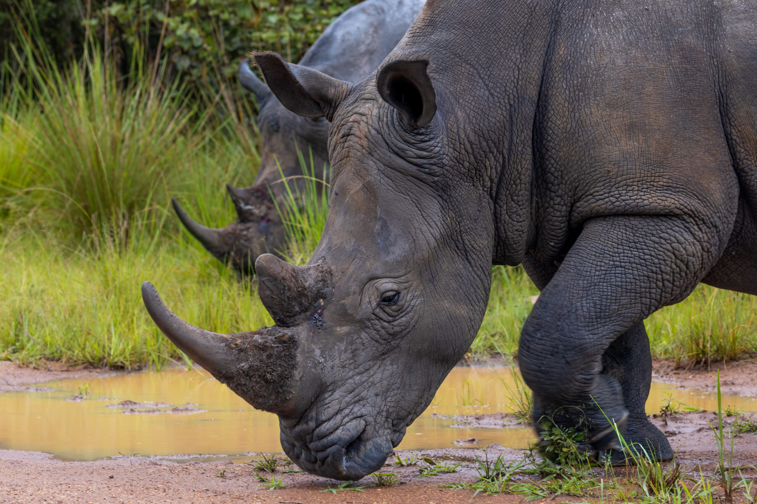 LorenaPeter_Uganda2024-0340