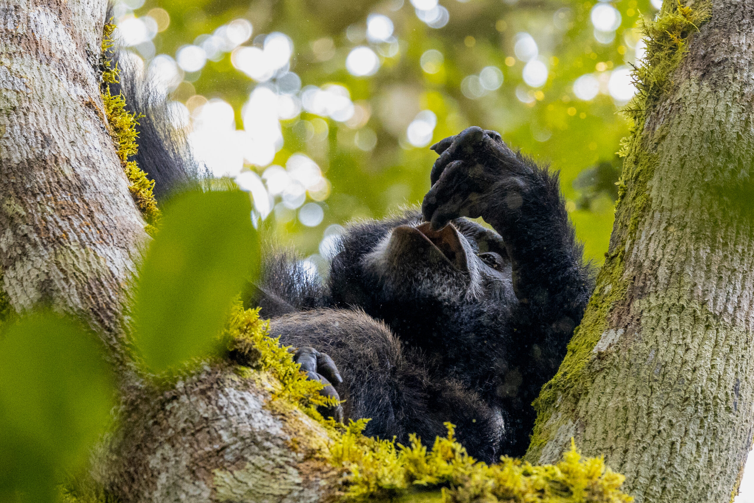 LorenaPeter_Uganda2024-1253