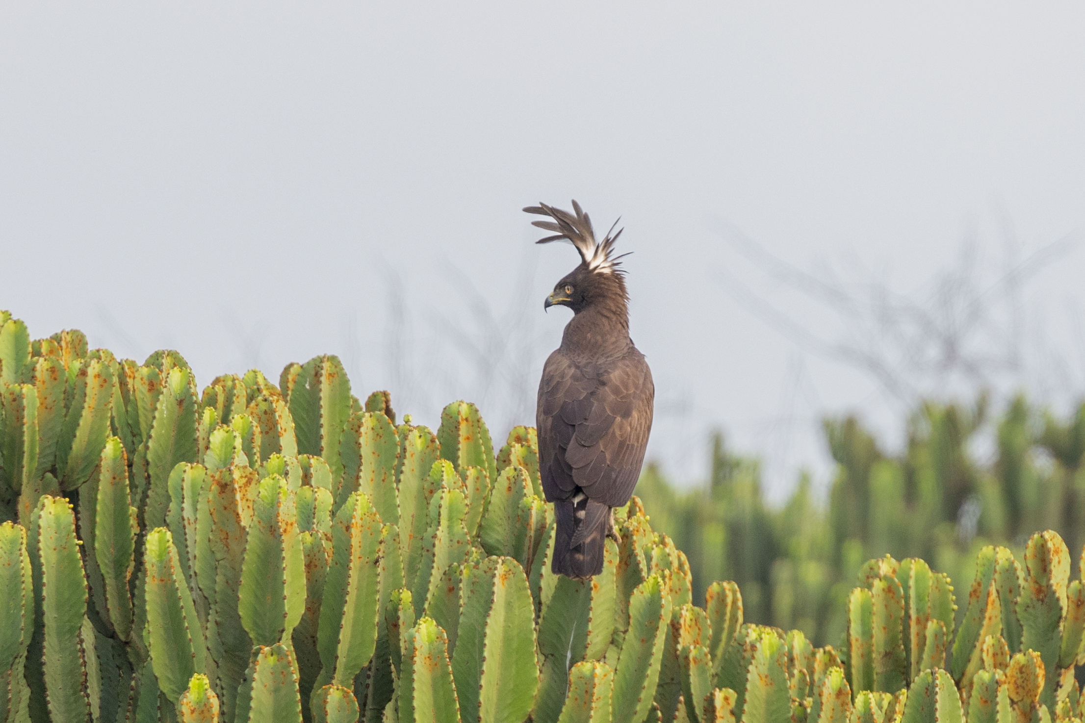 LorenaPeter_Uganda2024-1656