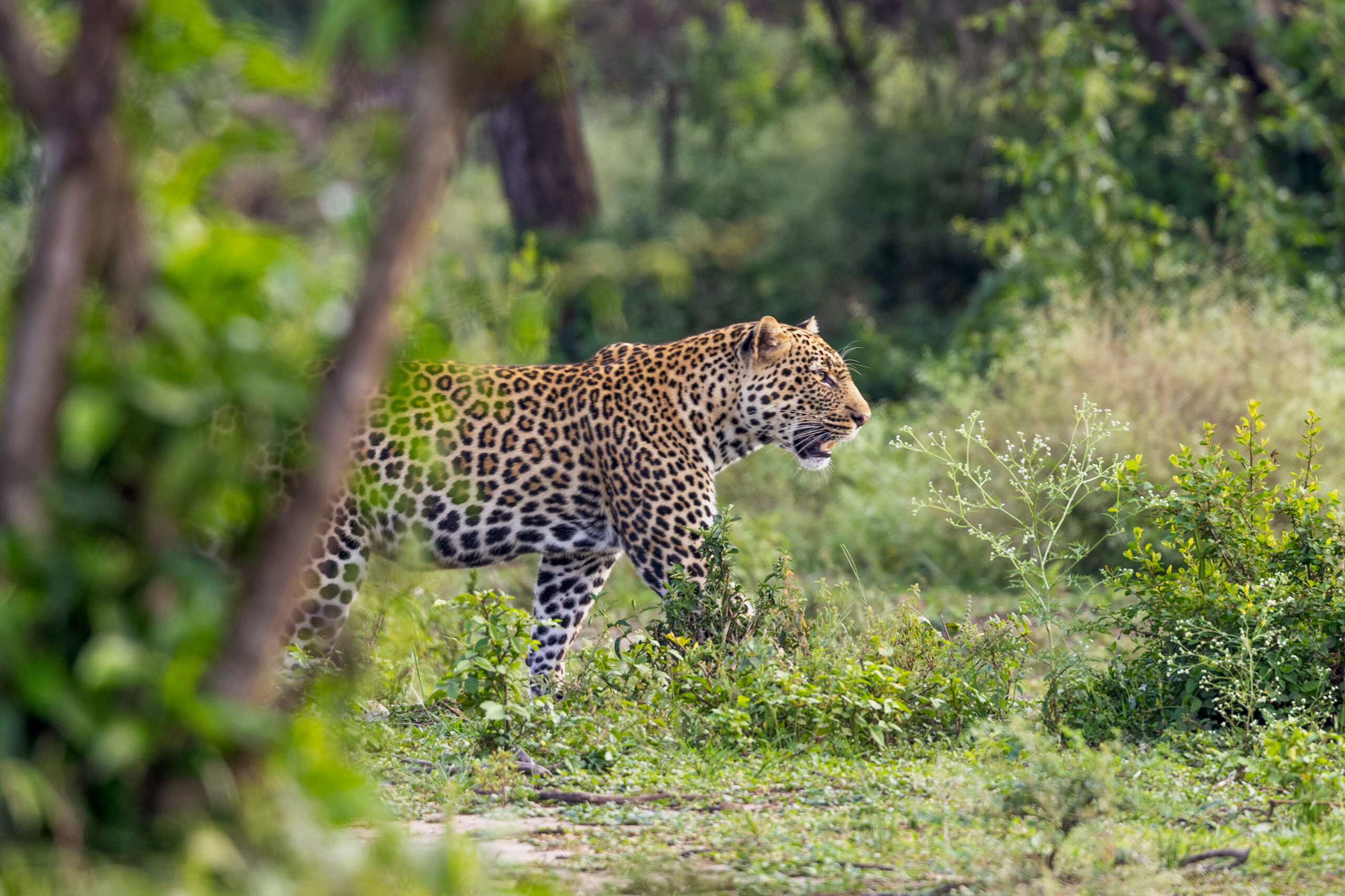 LorenaPeter_Uganda2024-1708