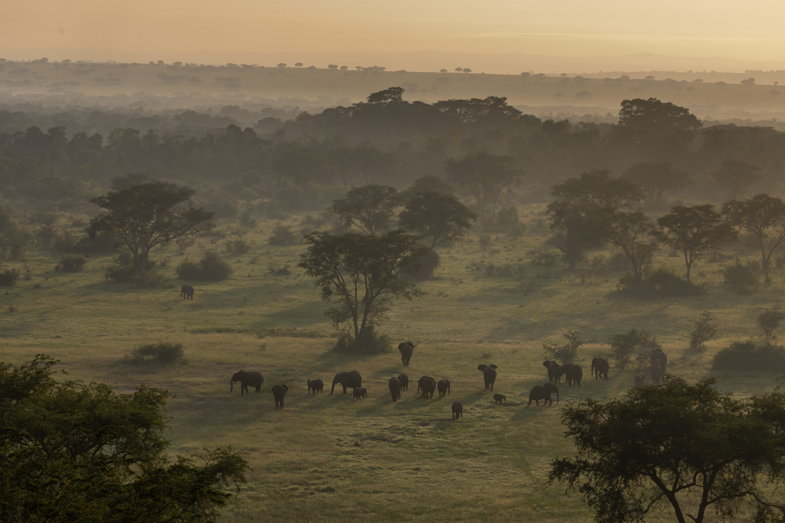 LorenaPeter_Uganda2024-2122