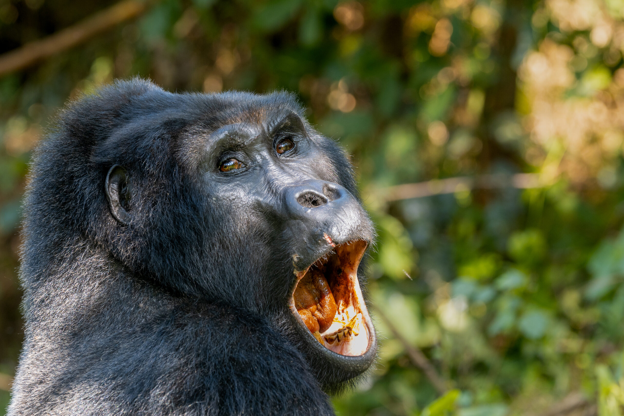 LorenaPeter_Uganda2024-2596