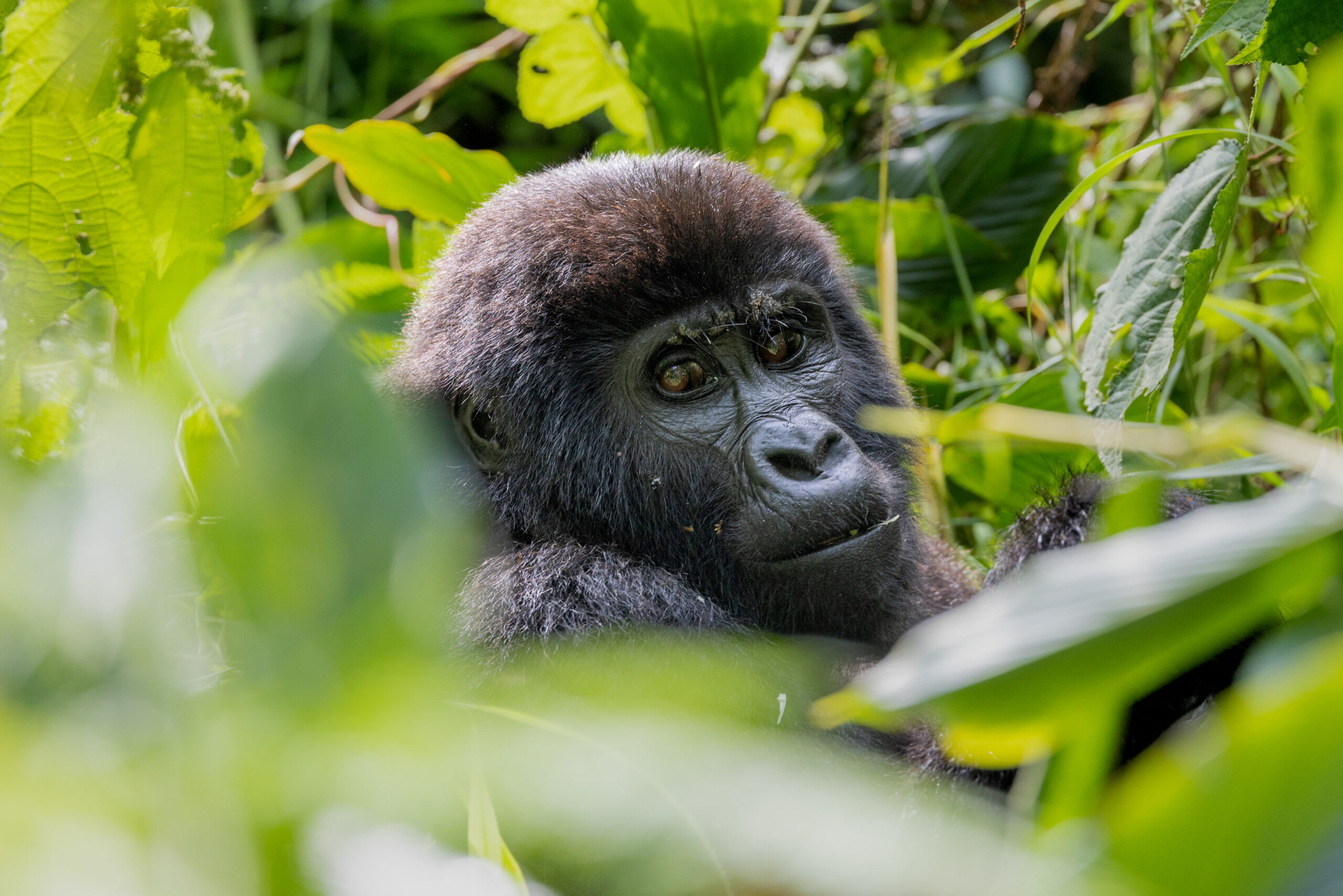 LorenaPeter_Uganda2024-2723