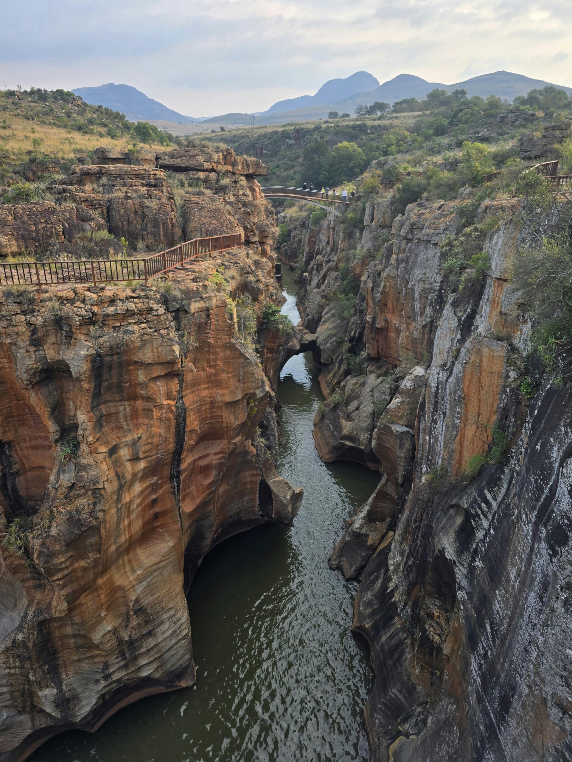 pexels-michelle-269096761-27807762